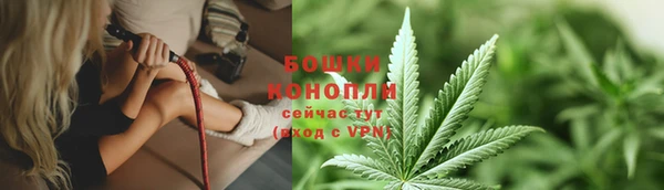 шишки Ачинск