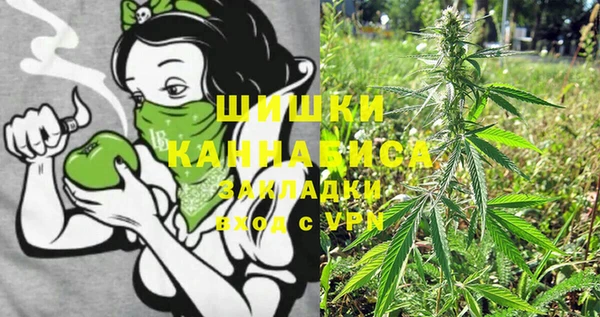 сатива Алексин