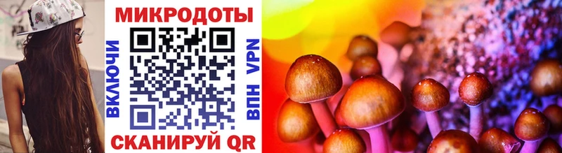 Псилоцибиновые грибы мицелий Борзя